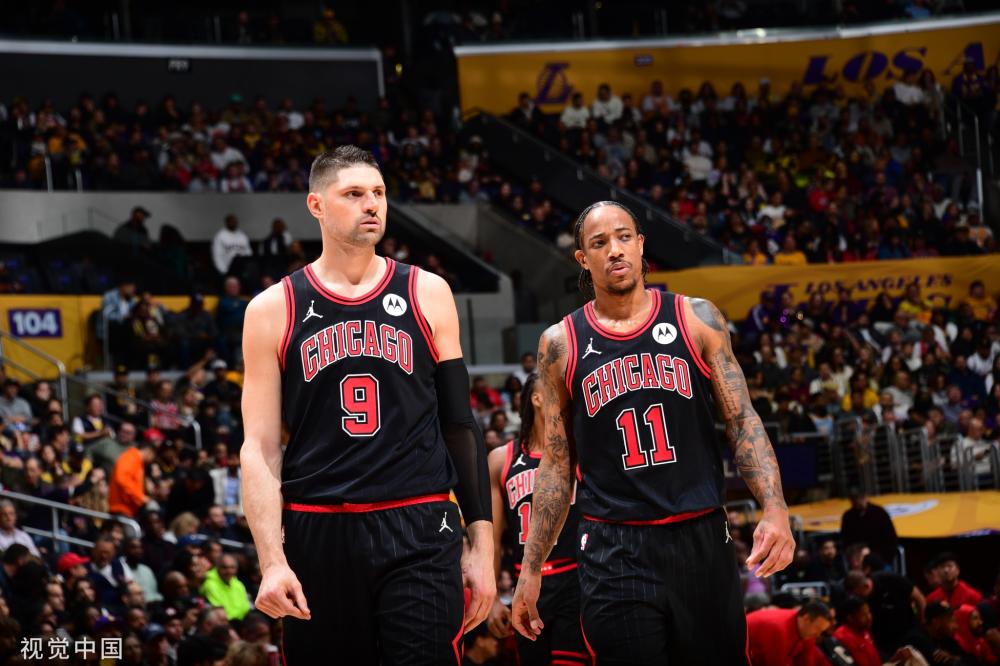 迷和专家关 迷和专家关